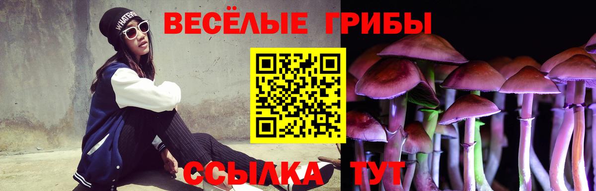 Бугуруслан  Галлюциногенные грибы мухоморы  Вход с VPN 