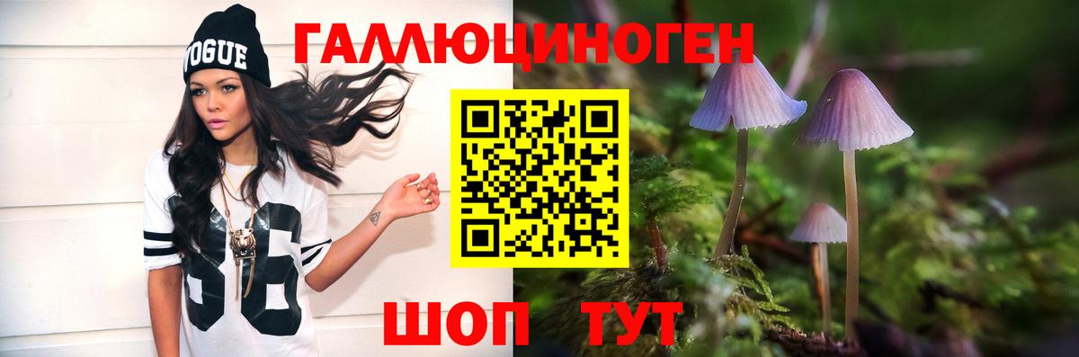 Галлюциногенные грибы Magic Shrooms Бугуруслан